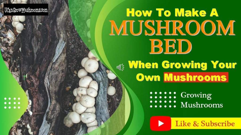 How deep should a mushroom bed be?